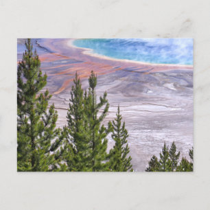 Cartão Postal Mirante do Grand Prismatic