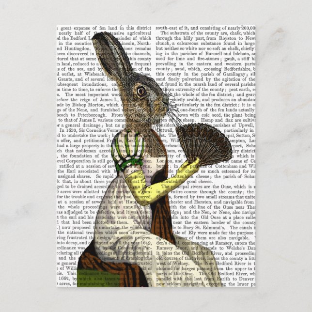 Cartão Postal Miss Hare (Frente)