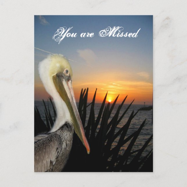 Cartão Postal Miss You_ Postcard (Frente)