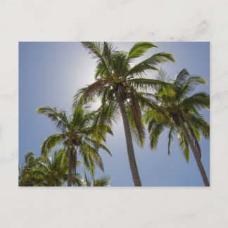 Cartão Postal Mission Beach