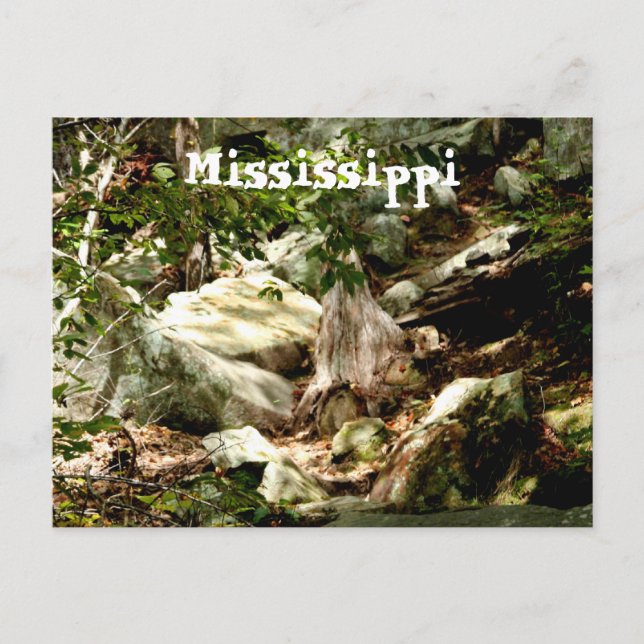 Cartão Postal Mississippi (Frente)