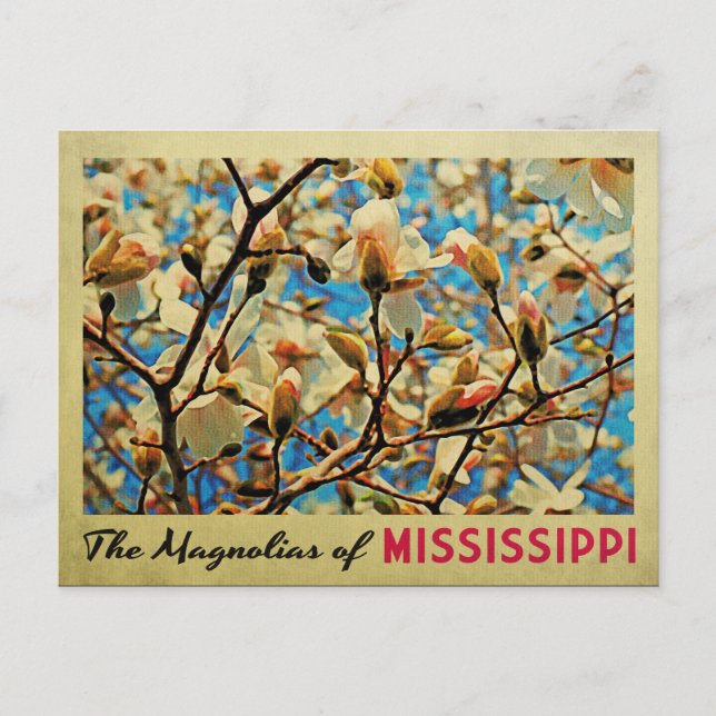 Cartão Postal Mississippi Magnolias (Frente)