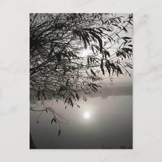 Cartão Postal Mist e Placa Sombra (Frente)