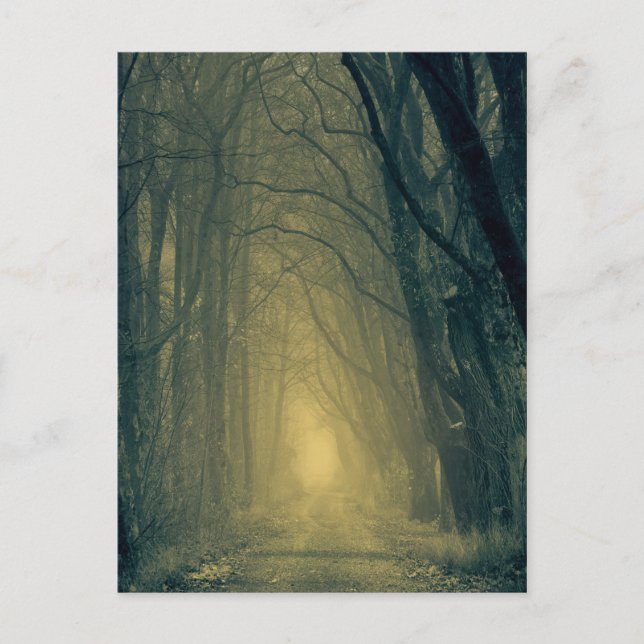 Cartão Postal Misteriosa luz amarela na floresta (Frente)