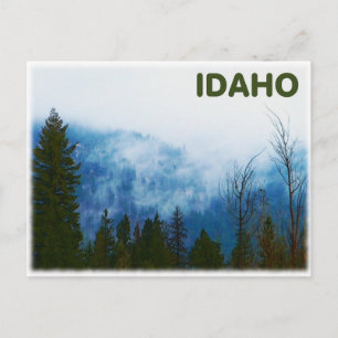 Cartão Postal Misty Cinza