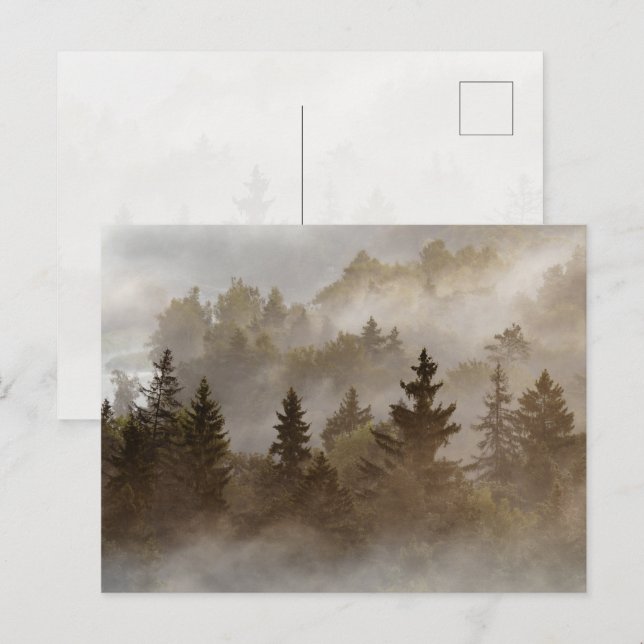 Cartão Postal Misty morning at the valley (Frente/Verso)