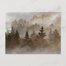 Cartão Postal Misty morning at the valley