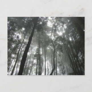 Cartão postal Misty Mountain