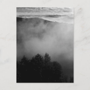 Cartão Postal Misty Pines
