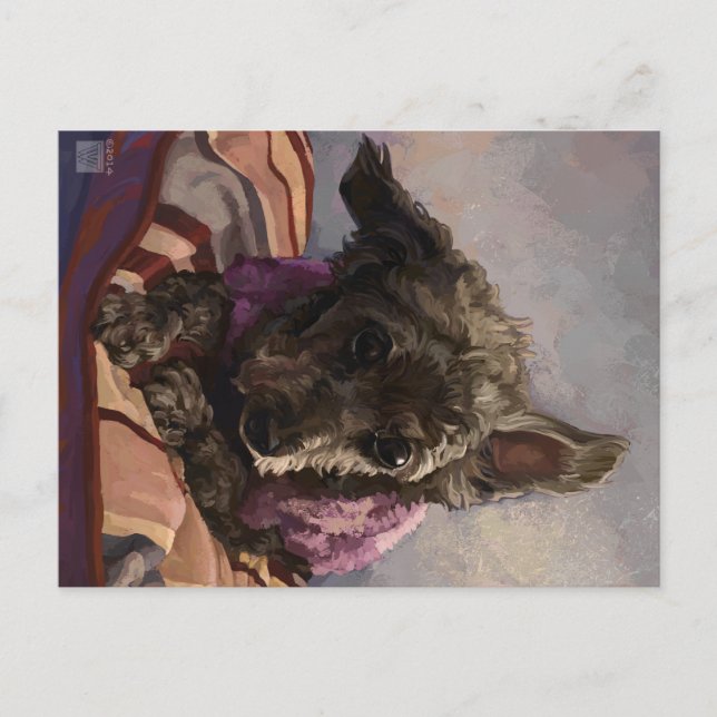 Cartão Postal Misty the Poodle (Frente)