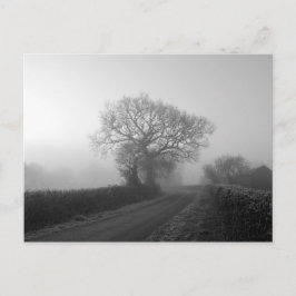 Cartão Postal Misty Winter Morning: Cheshire, Inglaterra