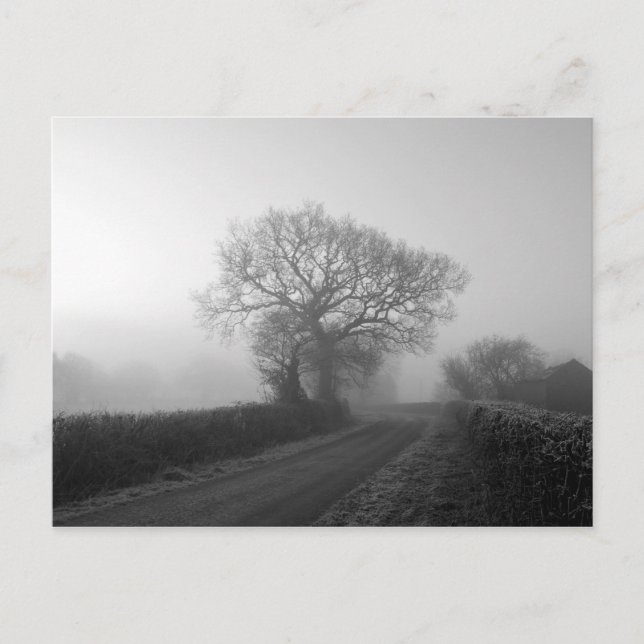 Cartão Postal Misty Winter Morning: Cheshire, Inglaterra (Frente)