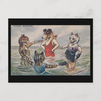 Cartão Postal Mixed Bathing - Dog and Cats Postcard