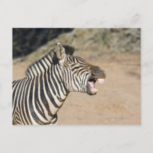 Cartão Postal Mkuze Game Reserve, Província de Kwa-Zulu Natal,