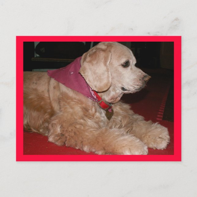 Cartão Postal moça (Frente)