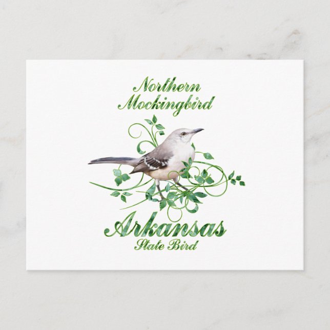Cartão Postal Mockingbird Arkansas State Bird (Frente)