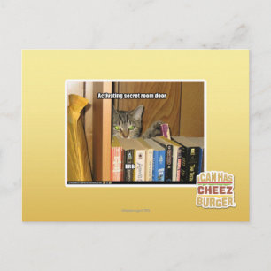 Cartão Postal Modelo