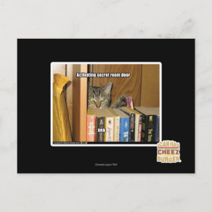 Cartão Postal Modelo