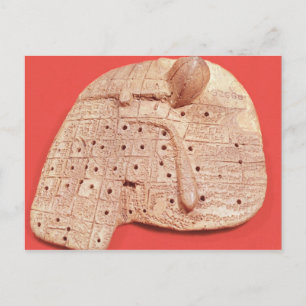 Cartão Postal Modelo de fígado de ovelha