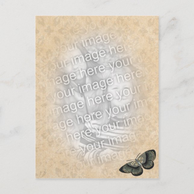 Cartão Postal modelo de foto de borboleta (Frente)