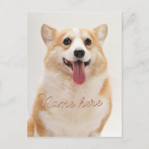 Cartão Postal Modelo de foto de nome de animal de estimação simp