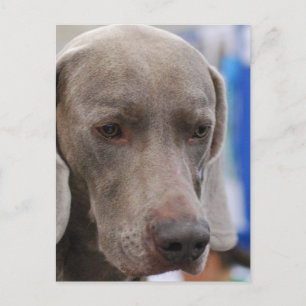 Cartão postal Modelo vertical - Personalizado