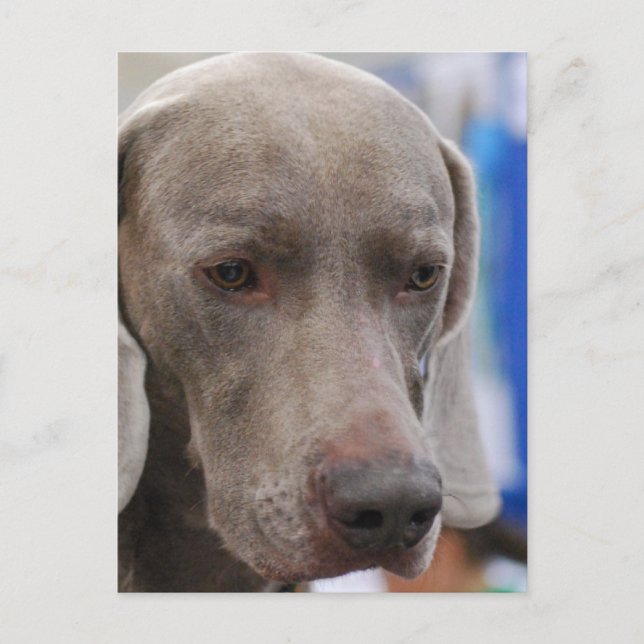 Cartão postal Modelo vertical - Personalizado (Frente)