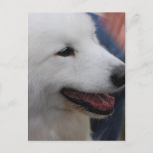 Cartão postal Modelo vertical - Personalizado