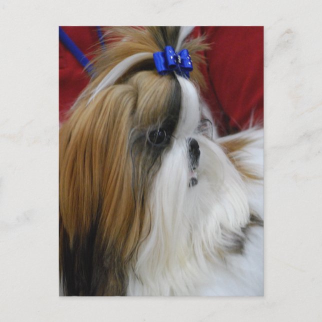 Cartão postal Modelo vertical - Personalizado (Frente)