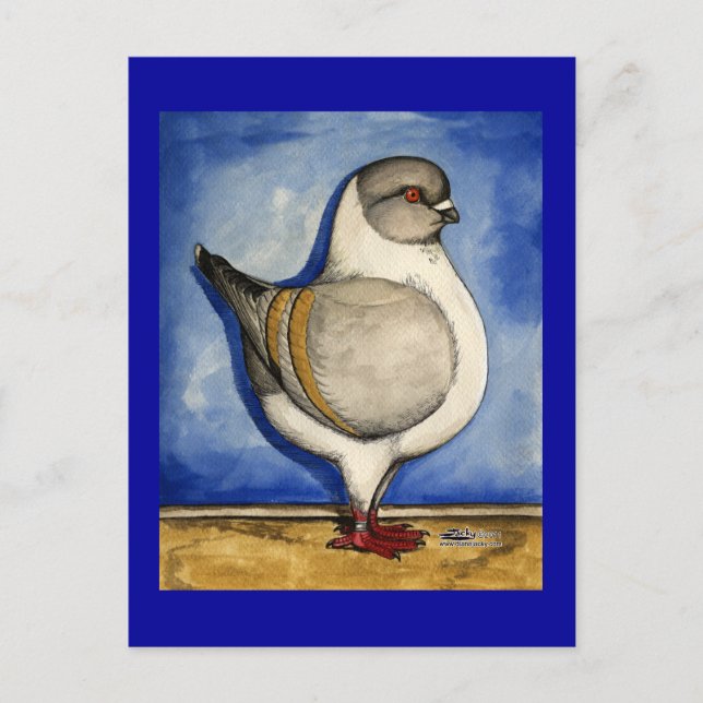 Cartão Postal Modena Silver Gazzi Pigeon (Frente)
