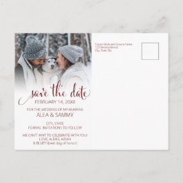 Cartão Postal Modern Humans Getting Married Pet Photo Engagement