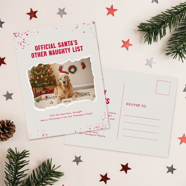 Cartão Postal Modern Humor Funny Photo Dog Christmas Postcard (Criador carregado)