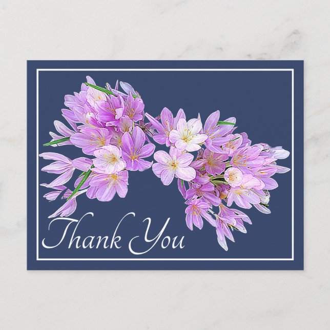 Cartão Postal Modern Pink Purple Crocus Floral Pretty Thank You (Frente)