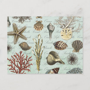 Cartão Postal Modern Vintage Seashells