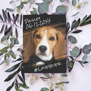 Cartão Postal Moderno Chique Elegante Simples Recordação de Cach