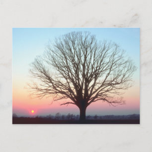 Cartão Postal Modo de exibição Sunset