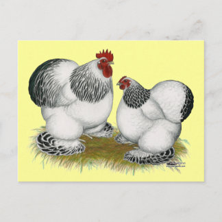 Cartão Postal Moedas:  Columbian Bantams