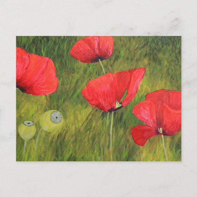 Cartão Postal Mohnfeld (Frente)