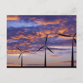Cartão Postal Moinho de Vento ao Pôr do Sol