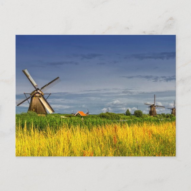 Cartão Postal Moinhos de vento em Kinderdijk, Países Baixos (Frente)