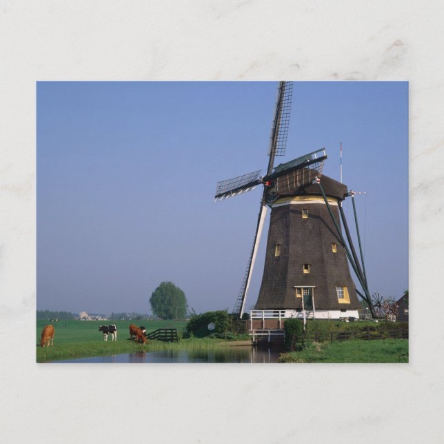 Cartão Postal Moinhos de vento, Leidschendam, Holanda (Frente)
