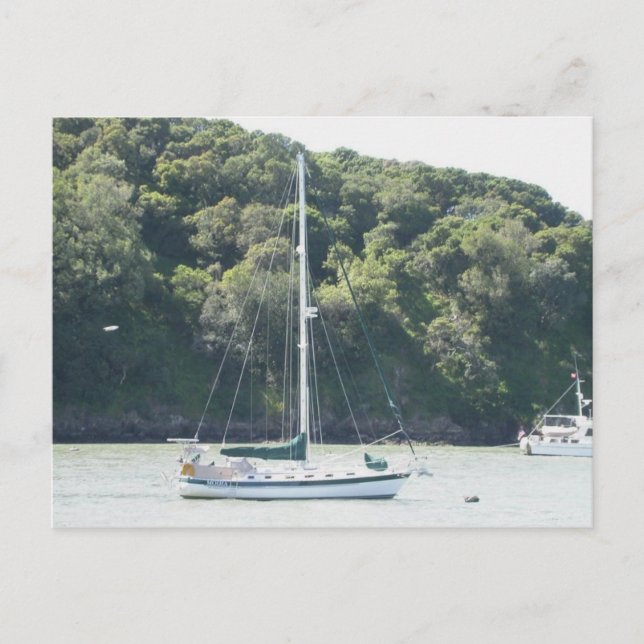 Cartão Postal Moira em amarração, Ilha Angel, São Francisco (Frente)