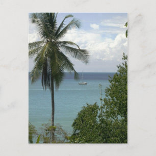 Cartão Postal Moira em âncora, Bahia Drake, Costa Rica