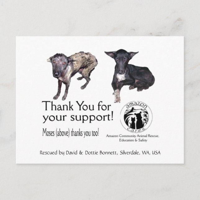 Cartão postal: Moisés, Antes e Depois de seu Resga (Frente)