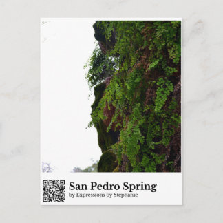 Cartão Postal Mola de São Pedro