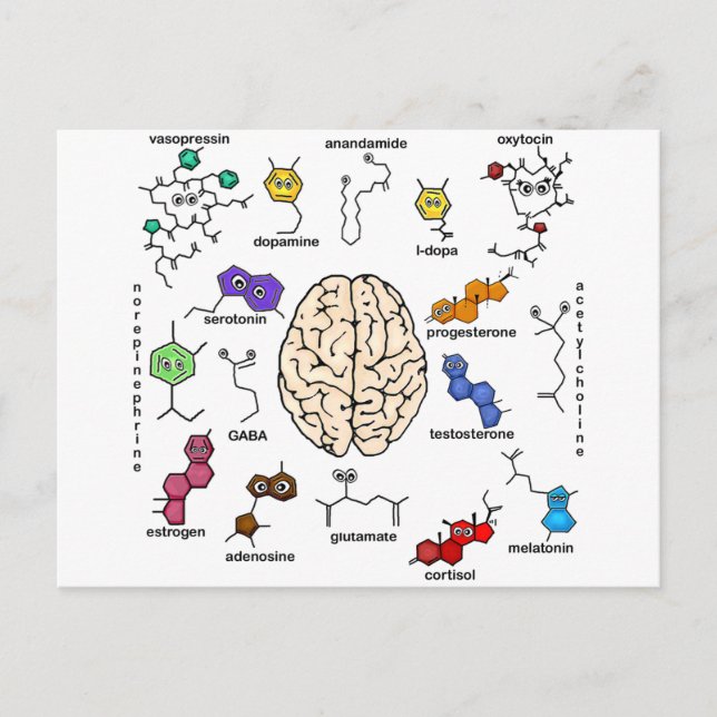 Cartão Postal Moléculas Galore! (Frente)