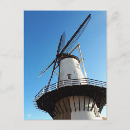 Cartão Postal Molen in Nederland in Willemstad.