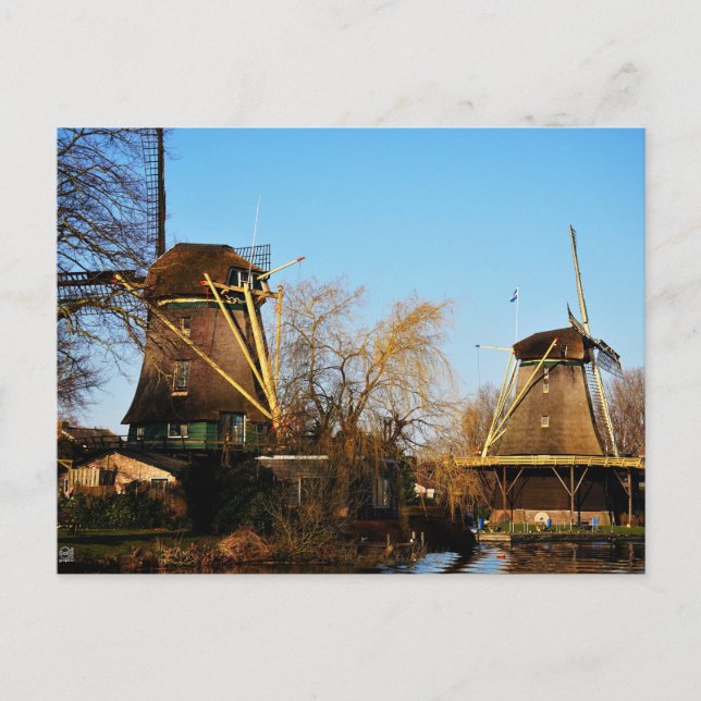 Cartão Postal Molens in Nederlands landschap. (Frente)