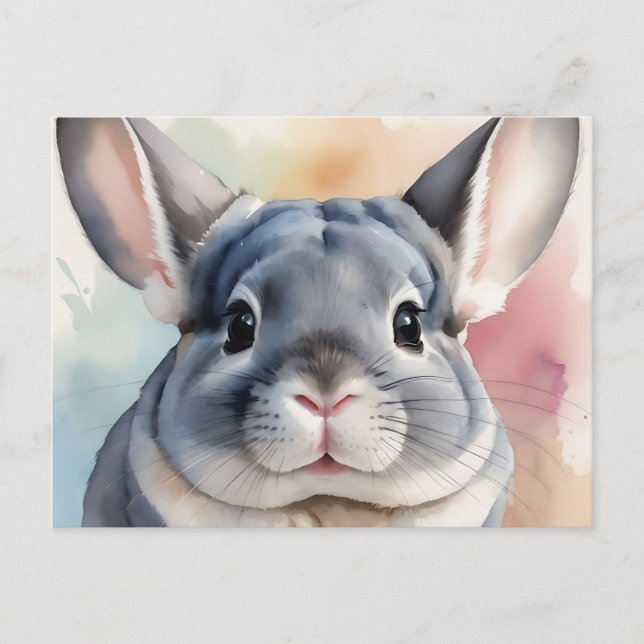 Cartão Postal Molho Chinchilla Portrait (Frente)