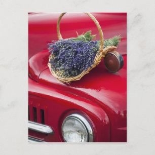 Cartão Postal Molhos de lavanda descansam em velho caminhão de f